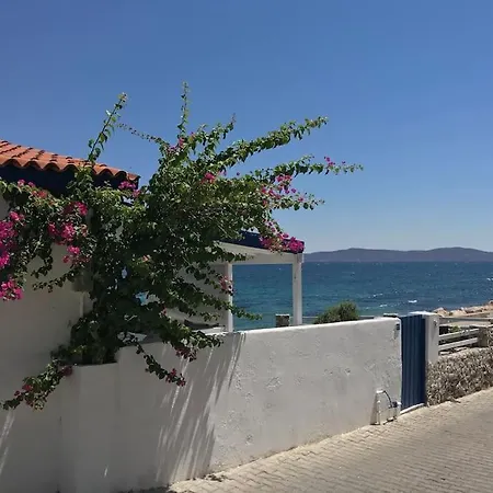 The Holiday House Over The Sea Feriehus